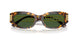 551471 - Tortoise - Dark Green