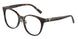 8015 - Tortoise
