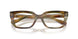 3446 - Brown