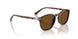 24/57 - Tortoise - Polarized Brown
