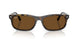 710/57 - Tortoise - Polar Brown