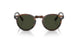 1724P1 - Brown - G-15 Polarized