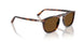 24/57 - Tortoise - Polar Brown