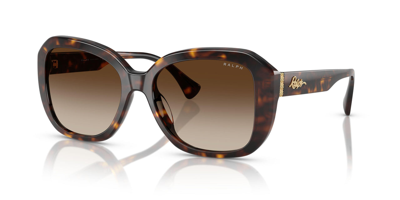 500313 - Brown - Gradient Brown