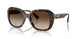 500313 - Brown - Gradient Brown