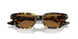 165457 - Tortoise - True Brown