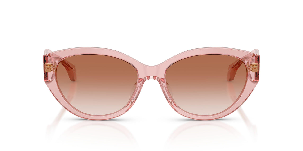 543413 - Pink - Pink Gradient