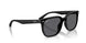 601S81 - Black - Polarized Grey