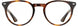 1 - Tortoise - Frame Only