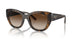 238613 - Brown - Gradient Brown