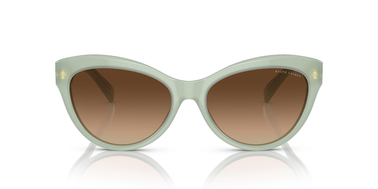 608274 - Green - Gradient Brown