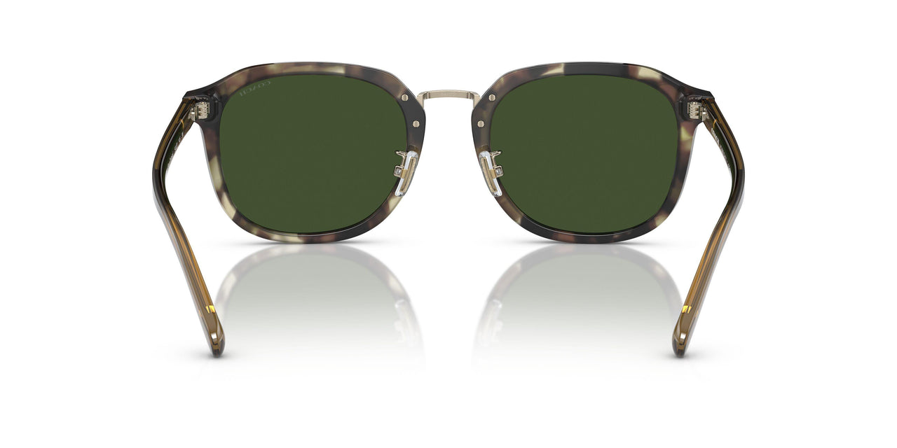 575571 - Tortoise - Green Solid