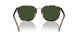 575571 - Tortoise - Green Solid