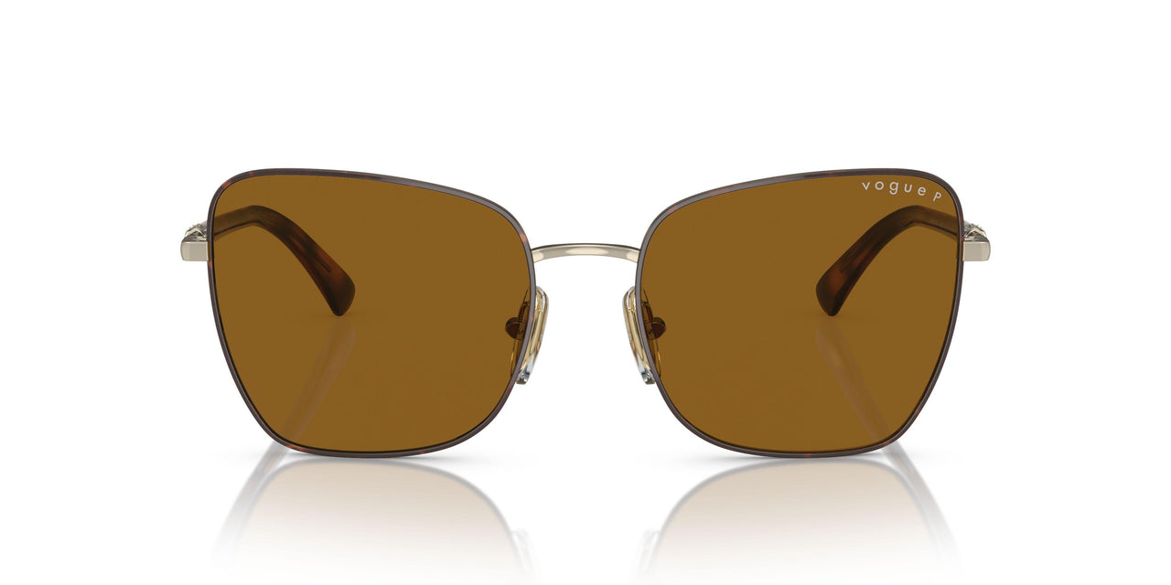 507883 - Havana - Polar Dark Brown