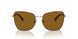 507883 - Havana - Polar Dark Brown