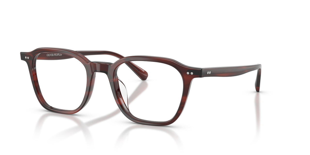 1818 - Morado Tortoise