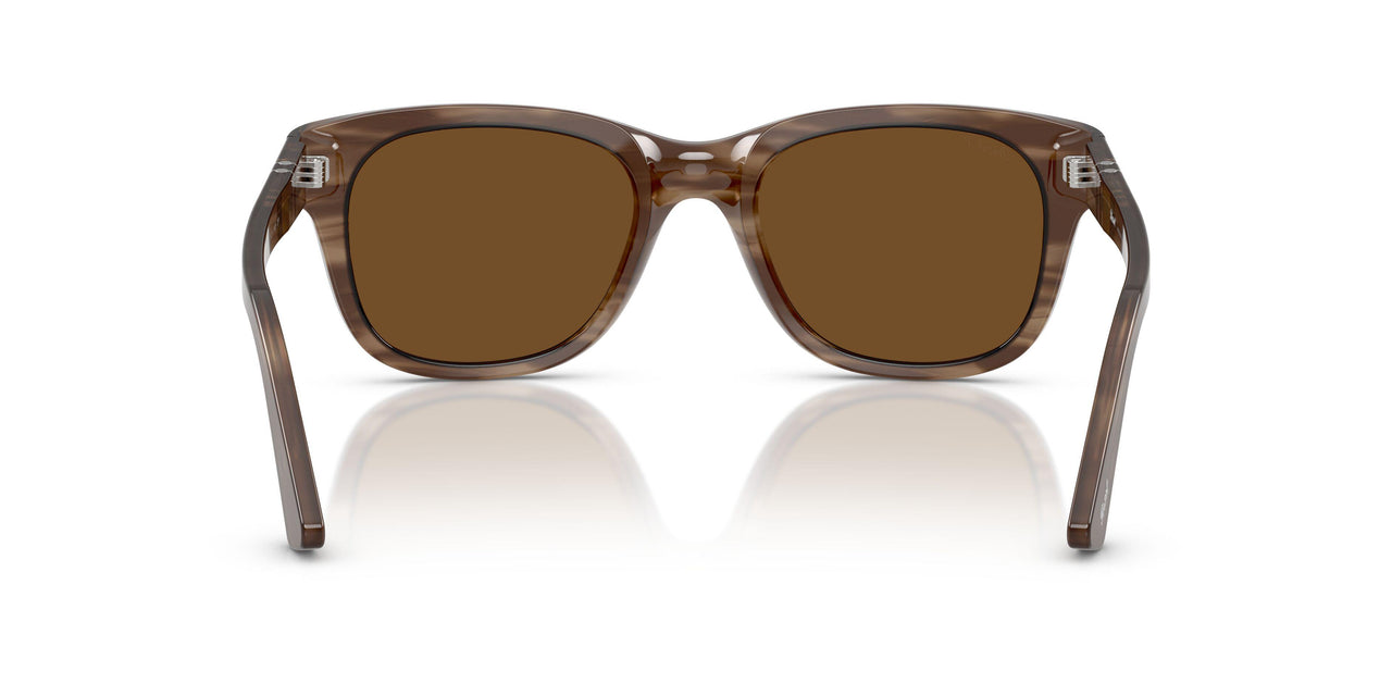 120857 - Tortoise - Polar Brown