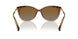 6133T5 - Beige - Polar Gradient Brown