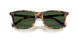 633971 - Tortoise - Bottle Green