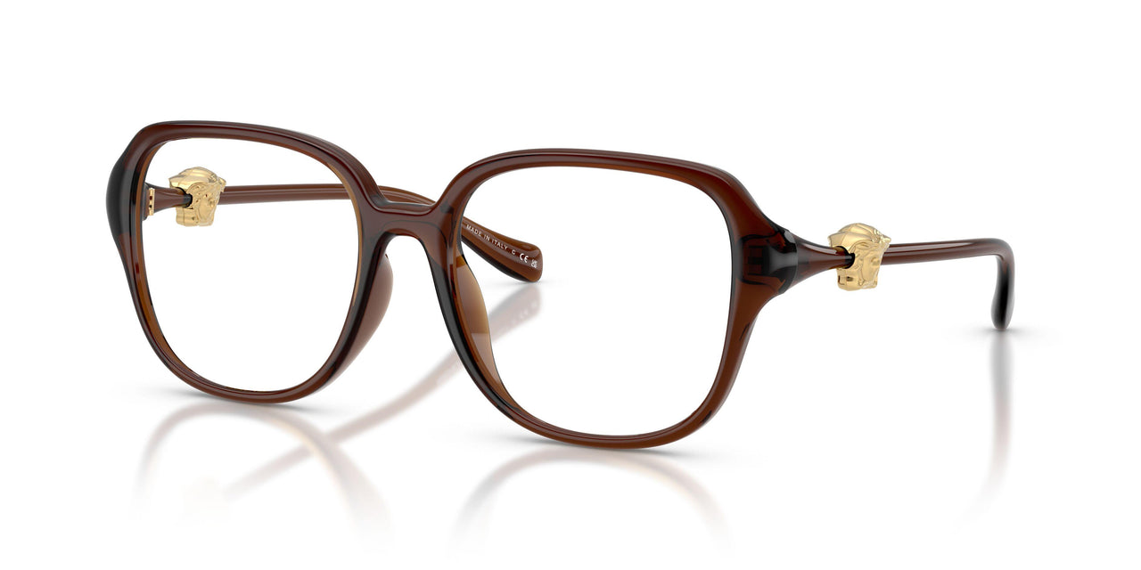 5534 - Brown