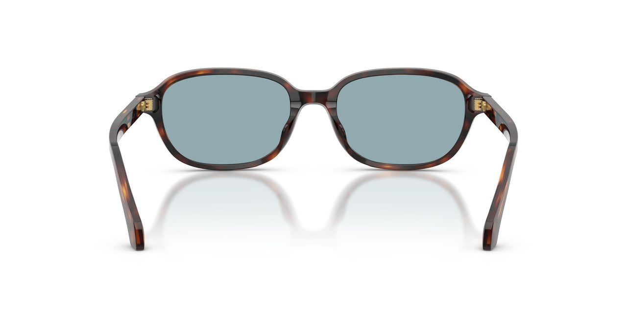553780 - Brown - Blue