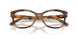 6089 - Tortoise