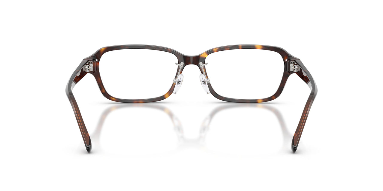 5879 - Tortoise
