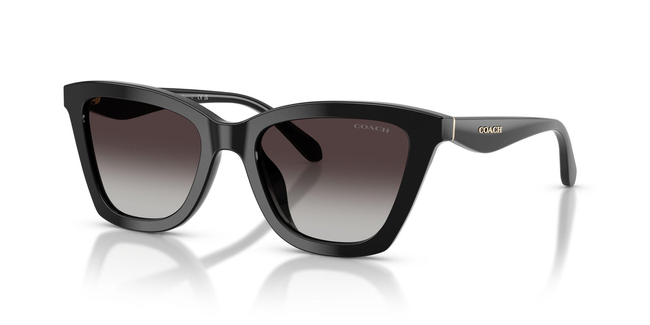 Coach Cfu10 8464U Sunglasses