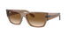 Ray-Ban Carlos 0947S Sunglasses