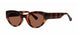 Modz Sunz BAVARO Sunglasses