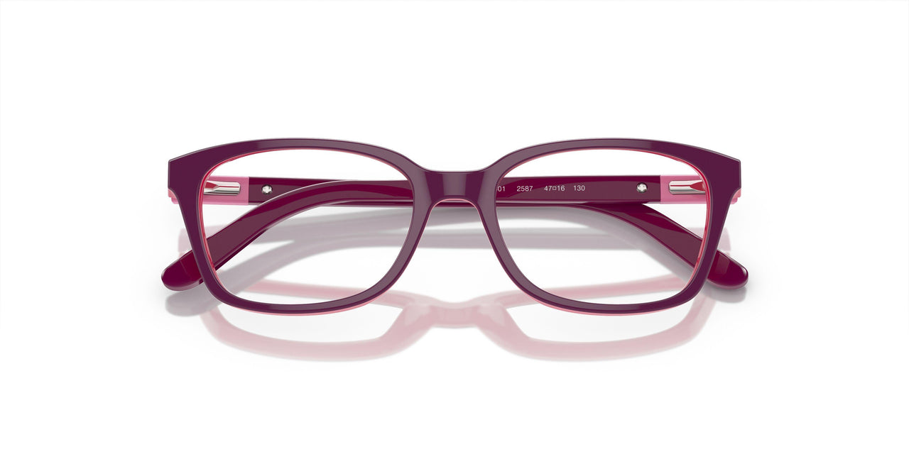2587 - Violet