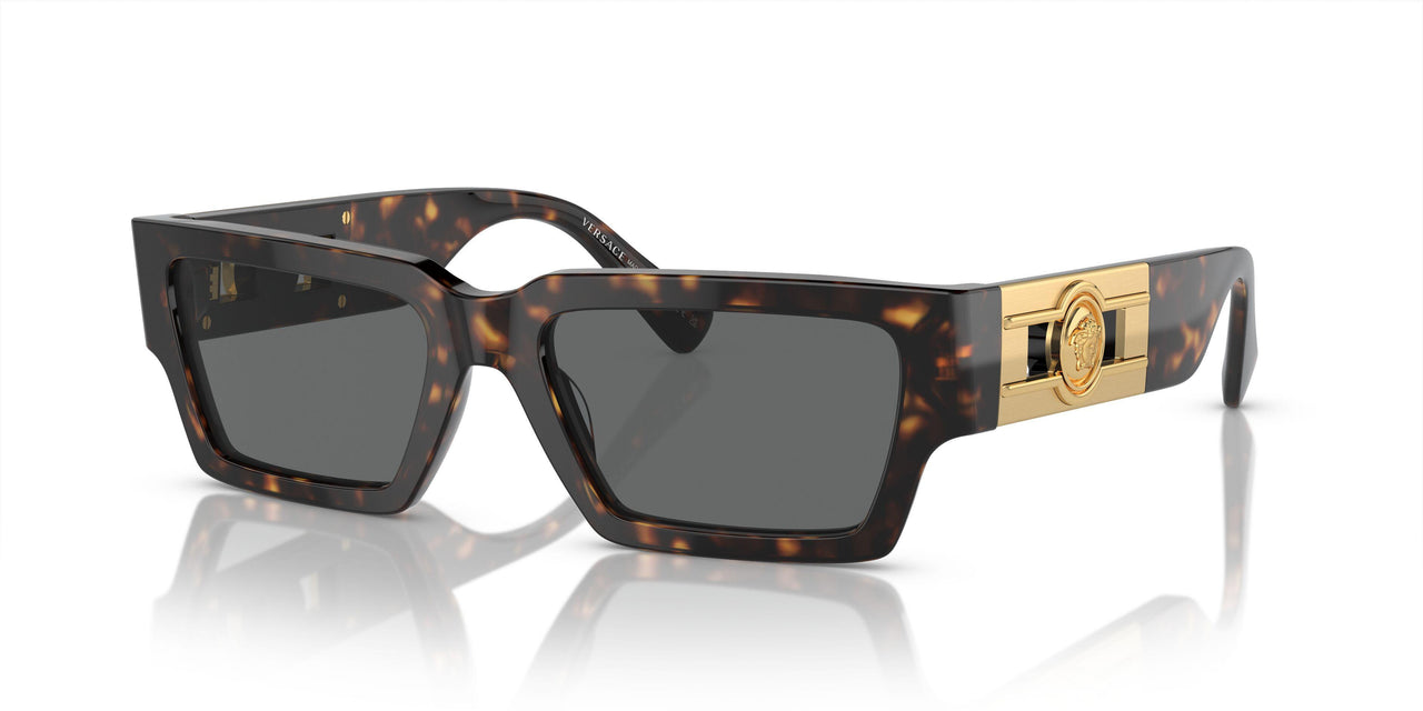 108/87 - Tortoise - Dark Grey