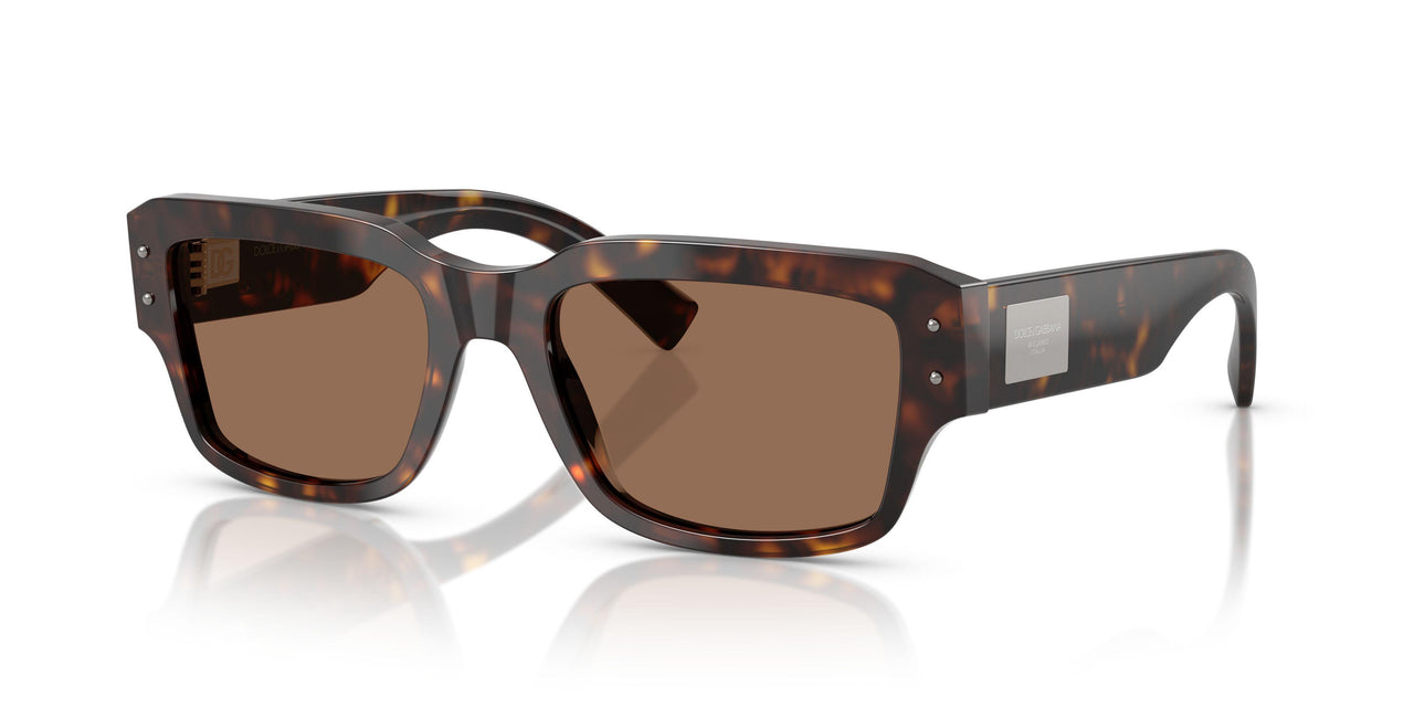 502/73 - Tortoise - Dark Brown
