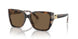 395173 - Bi Layer Dark/cream Tortoise - Brown Solid