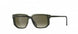 5560 - Dark Olive - Olive Green Gradient