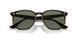 710/M1 - Havana - Photo Clear To Grey/green Quar