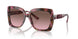 39989T - Tortoise - Cordovan Gradient