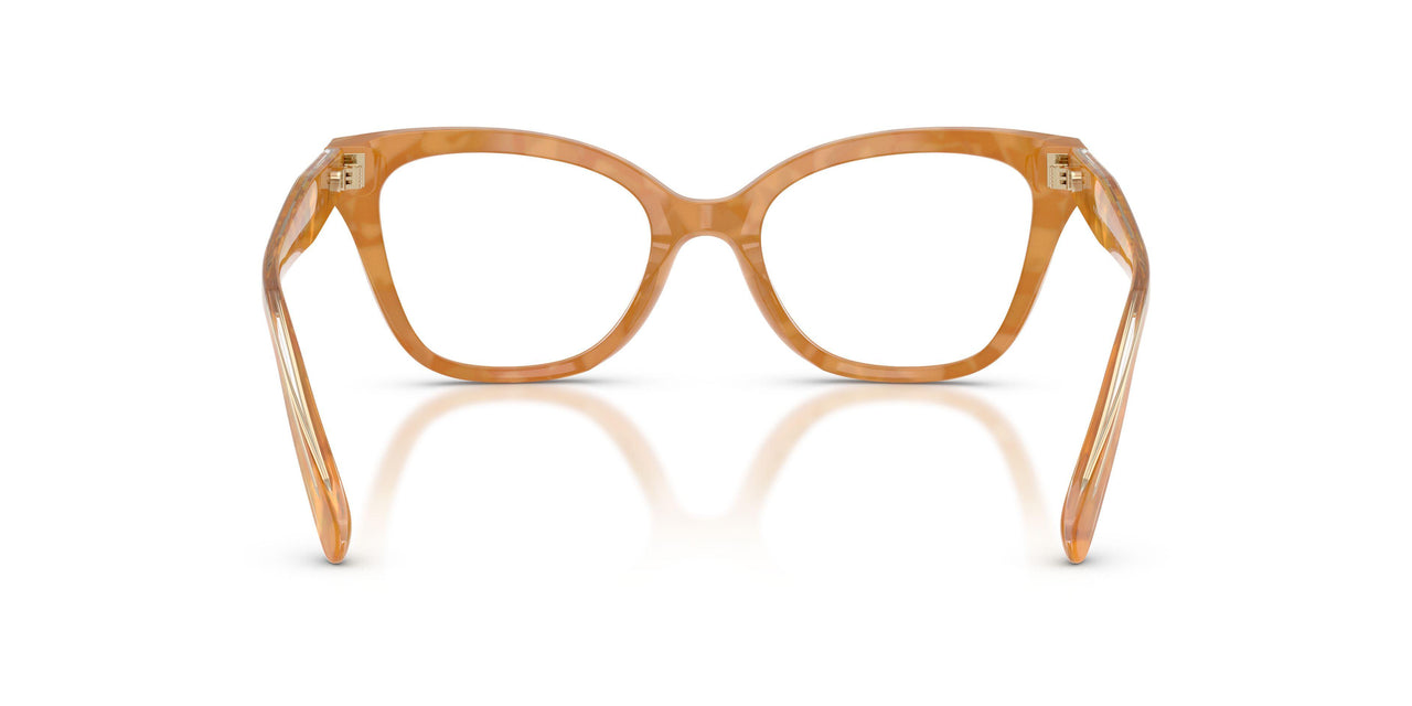 5939 - Tortoise