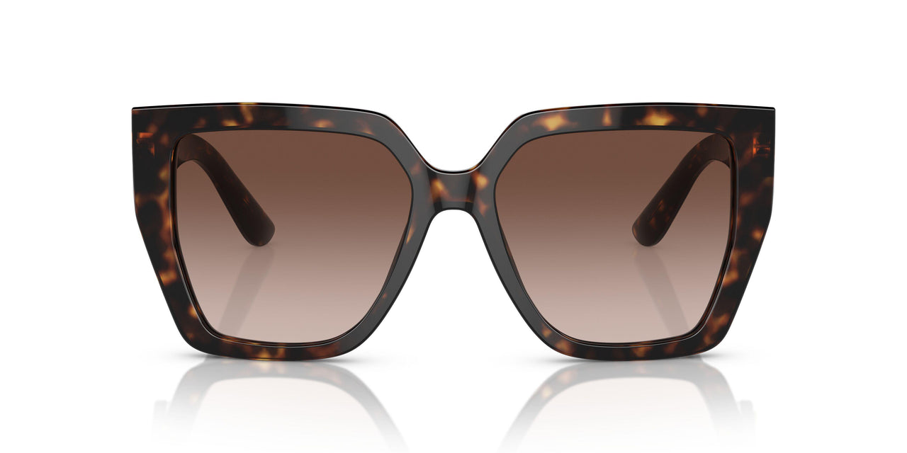 502/13 - Tortoise - Gradient Brown