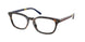 5003 - Tortoise