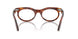 2144 - Brown - Clear
