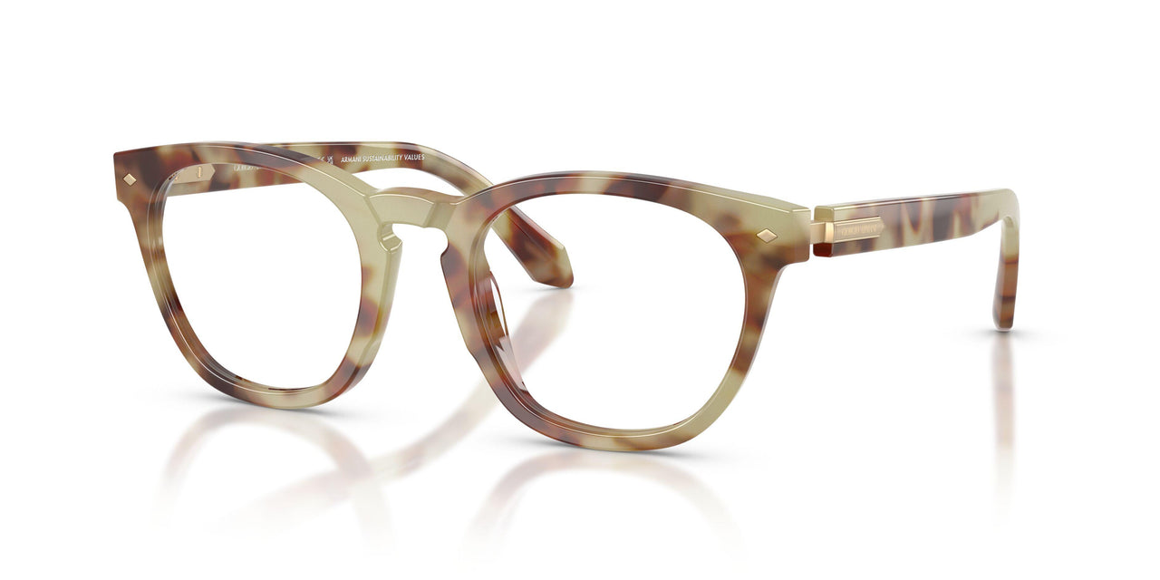 6299 - Tortoise