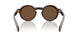 300273 - Tortoise - Solid Brown