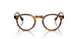 1011 - Brown