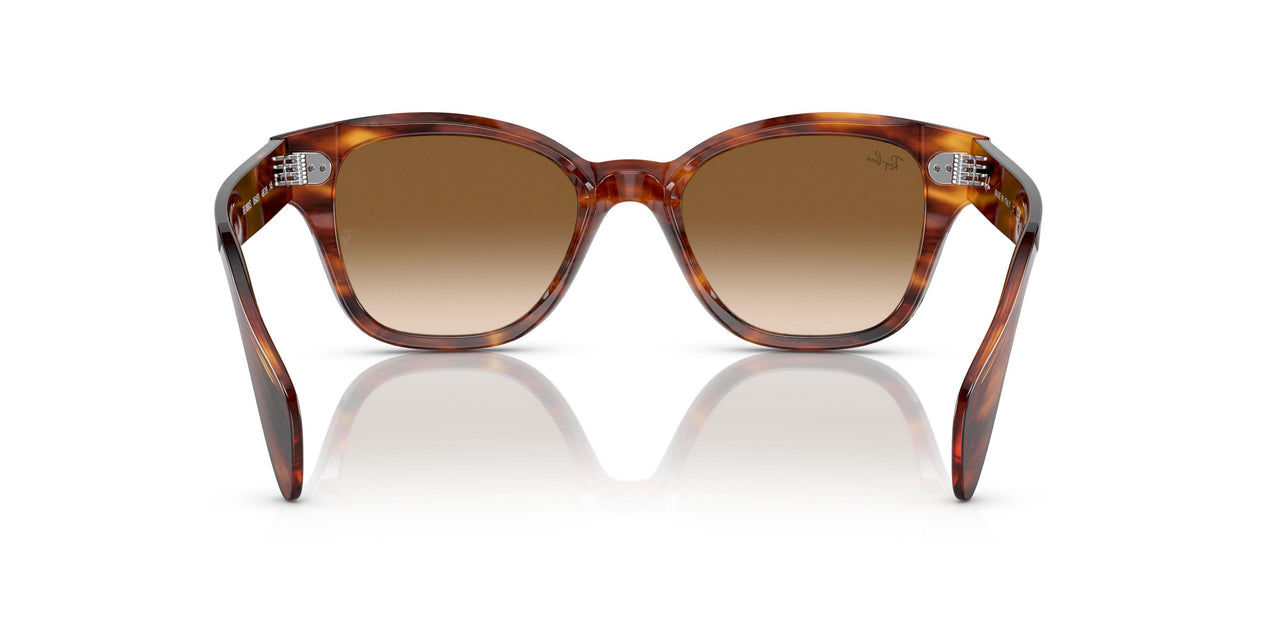 954/51 - Havana - Clear Gradient Brown