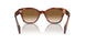 954/51 - Havana - Clear Gradient Brown