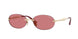 Vogue 4342S Sunglasses