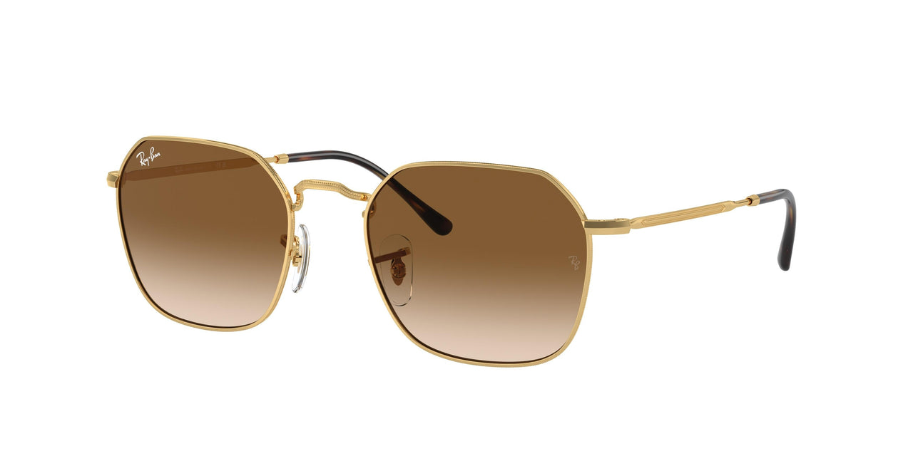 Ray-Ban Jim 3694 Sunglasses