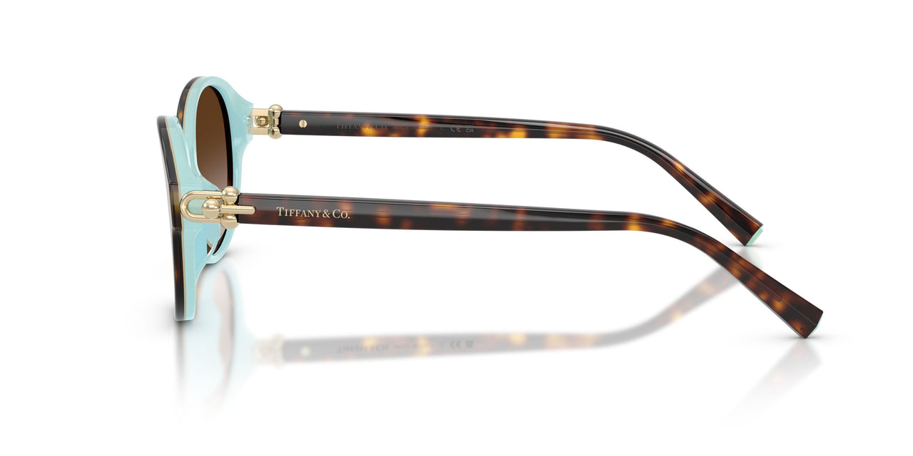 81343B - Brown - Brown Gradient