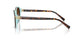 81343B - Brown - Brown Gradient